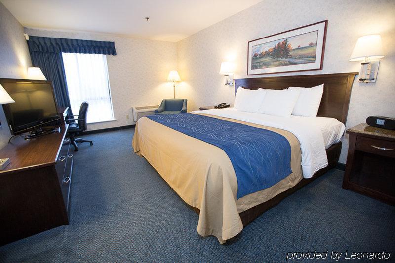 Comfort Inn Bellingham Exterior foto