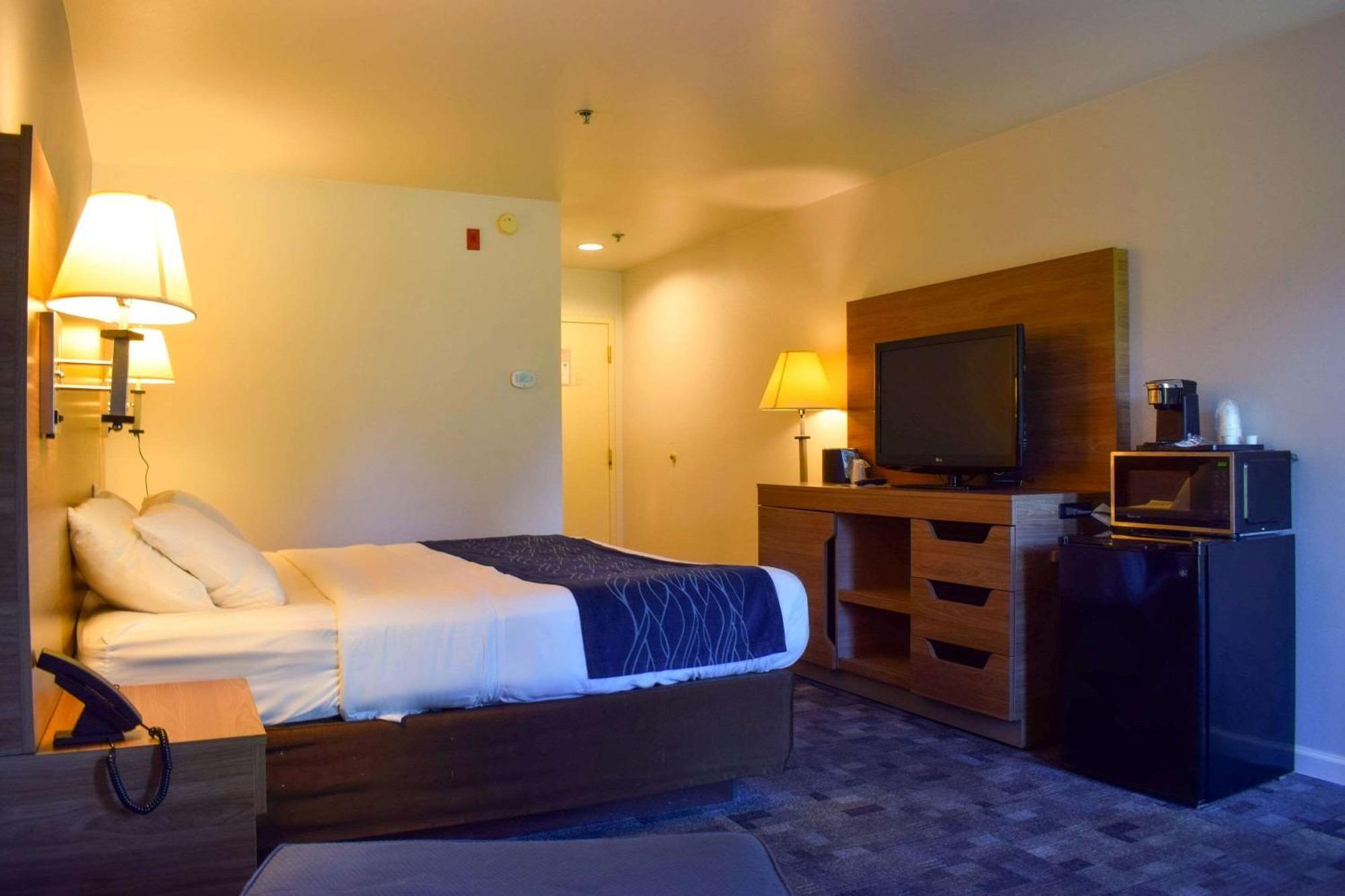 Comfort Inn Bellingham Exterior foto